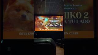 💥HACHIKO 2 Siempre a tu lado💥ESTRENO 30 DE MAYO EN CINES hachiko hachiko2 starfilms estrenos [upl. by Cailly859]