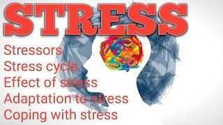 हिन्दी में  Stress  Unit 4  Motivation And Emotional Process  Psychology  BSc Nursing [upl. by Susana]