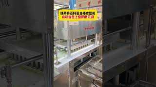 Multigrain biscuit machine，Matcha protein bar machine [upl. by Alehcim]