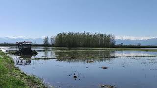 wetland life  wetland life iran [upl. by Nowyt619]