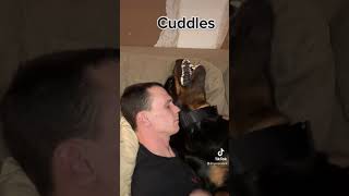 Rottweiler growling cuddles [upl. by Perry]