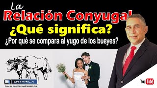 La relación conyugal ¿Qué significa │En Familia [upl. by Jeannine]