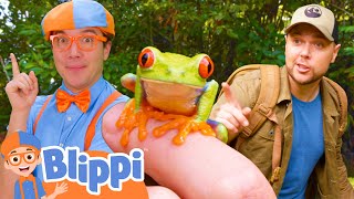 Blippis Adventure with Brave Wilderness  BEST OF BLIPPI TOYS  Educational Videos for Kids [upl. by Geanine365]