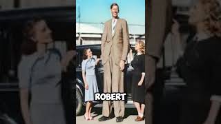 The Tallest Man in History Robert Wadlow’s Incredible Story [upl. by Asenev]