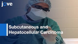 Subcutaneous and Hepatocellular Carcinoma Xenografts  Protocol Preview [upl. by Inaliel]