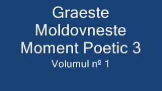 Graeste Moldoveneste  Moment Poetic 3 [upl. by Codd515]