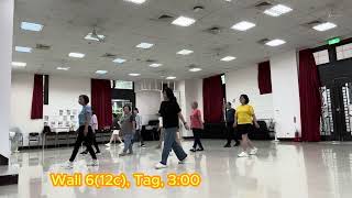 Yellow Rose 黃玫瑰 line dance [upl. by Suiravaj]