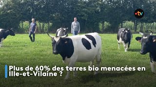 Plus de 60 des terres bio menacées en IlleetVilaine [upl. by Aleakam]