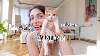 ben artık ana oldum  minivlog🐱 [upl. by Ahsienet]