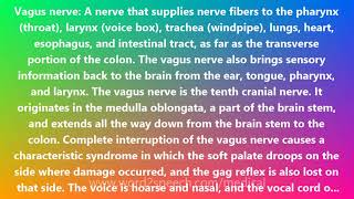 Vagus nerve  Medical Meaning and Pronunciation [upl. by Reywas58]