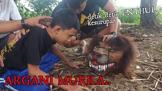 PERTAMA KALI ENTHUL KESURUPAN ARGANI [upl. by Fenner]