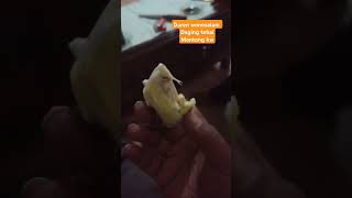 Duren wonosalam Jombang [upl. by Ibmat]