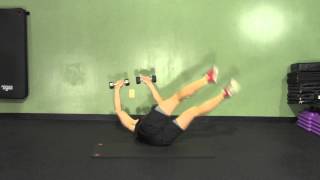 Windshield Wipers  HASfit Abdominal Exercises  Ab Exercises  Abs Exercise [upl. by Oicelem21]