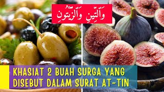 Bukan Hoaks Ini 4 Manfaat Buah Tin dan Buah Zaitun Yang Dibahas Dalam Alquran [upl. by Fonseca539]