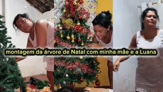 montagem da árvore de Natal com minha mãe e a Luana [upl. by Wales]