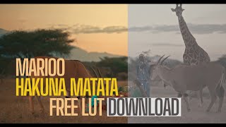 Marioo  Hakuna Matata 🔥🔥 FREE LUT DOWNLOAD [upl. by Alanson]