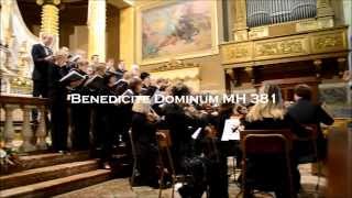 Micheal Haydn  Benedicite Dominum MH 381 [upl. by Anih366]