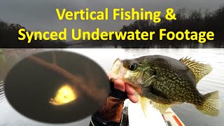 Underwater See HOW Crappies Bite Jigs [upl. by Marigold207]