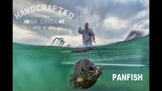 New Avid Panfish [upl. by Ainoet]