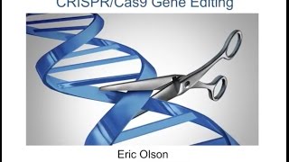 Webinar A Closer Look at the Potential of CRISPRCas9 in Duchenne  December 2016 [upl. by Sharia]