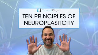 The Ten Principles Of Neuroplasticity Rehab  What you need to think about [upl. by Euqinemod640]