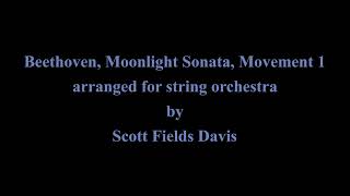 Beethoven Moonlight Sonata Movement 1 string orchestra [upl. by Thekla]