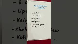 Lipid Metabolism Pathways lipids lipid metabolism metabolic [upl. by Lak]