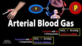 Arterial Blood Gas ABG Test Animation [upl. by Jennee633]