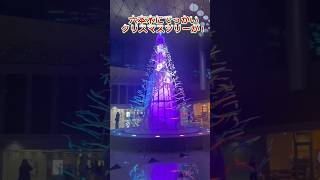 【クリスマスツリー】クリスマスツリー クリスマス ユーチュー部 pr youtubeshorts [upl. by Nylyoj]