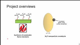 Blaine Fiss McGill Univ  quotMechanochemical Methods Towards Sustainable Phosphorus Chemistryquot [upl. by Ydisahc]