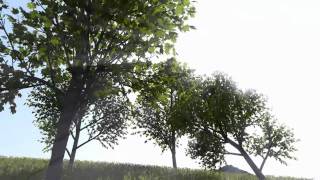 RealTime Rendering and Animation of Trees [upl. by Bayard]