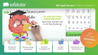 Chromosomen – Bau und Funktion einfach erklärt – Biologie 9  13 Klasse [upl. by Amadis]