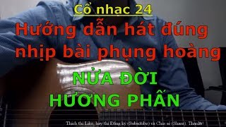 Nửa Đời Hương Phấn Dạy hát đúng nhịp 12 câu Phụng hoàng  Bài hát mẫu dùng để tập đàn  Cổ nhạc 24 [upl. by Lladnik]