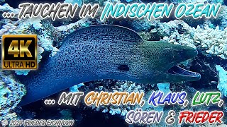 Tauchen im Indischen Ozean 🦞 🐟 🐠 [upl. by Aznarepse]