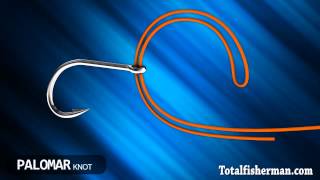 Best Fishing Knot [upl. by Sirapal]