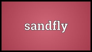 Sandfly Meaning [upl. by Adlez]