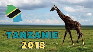 Dobrovolnictví v Tanzanii amp Safari Serengeti národní park amp Ngorongoro kráter [upl. by Newbill957]