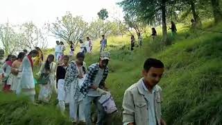 GDC Kumarsain DisttShimla HP FIT INDIA Plogging Run [upl. by Dash721]