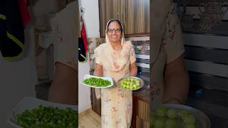 Quick Mix Amla Mirch Achar Recipe [upl. by Neila]