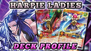 Harpie Ladies DECK PROFILE  YUGIOH RUSH DUEL [upl. by Yorztif169]