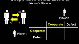 Introduction to evolutionary game theory [upl. by Jenesia939]