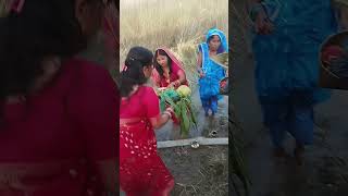 Penhi na devar ji Piyareya daura ghate pahuncheshortvideosong [upl. by Gefen]