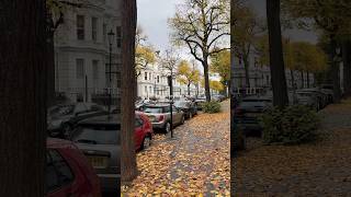 Is this the prettiest street in London right now 🍁 shortsvideo [upl. by Tan]