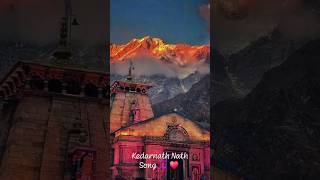 Deva Deva shortvideo trending video shorts ytshorts youtubeshorts kedarnathdham tiktokvideo [upl. by Tizes789]