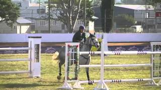 Cassiago Mini Prix Gatton World Cup show 2014 [upl. by Cordle]