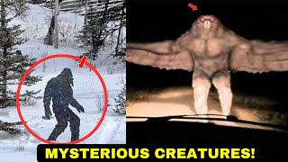 Top 7 mysterious creatures that haunt our imagination [upl. by Liatris]