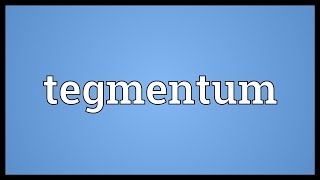 Tegmentum Meaning [upl. by Akeenahs]