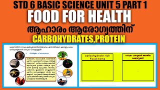 STD 6 Basic Science Unit5Food For Health Part 1CarbohydratesampProteinsKite Victers STD 6Umakkutty [upl. by Faith]