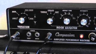 Companion Amplifier Psychedelic Machine [upl. by Grissom982]