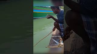 Unique Way of Rabbit fish Fishing in River fishingislife fishing bestfishingtechniques [upl. by Tenney]